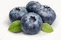 Blueberries supports relaxation, mental clarity, and stress balance with powerful natural antioxidants.